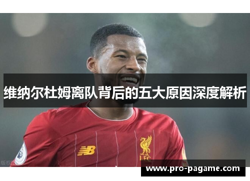 维纳尔杜姆离队背后的五大原因深度解析