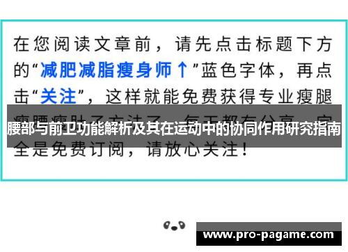 腰部与前卫功能解析及其在运动中的协同作用研究指南