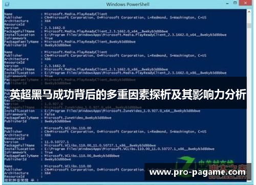 英超黑马成功背后的多重因素探析及其影响力分析