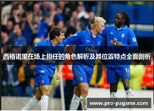 西格诺里在场上担任的角色解析及其位置特点全面剖析