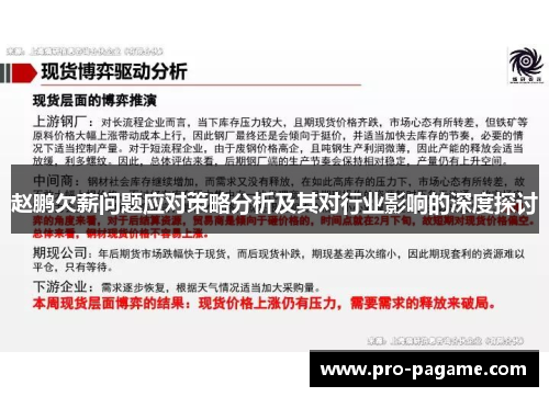 赵鹏欠薪问题应对策略分析及其对行业影响的深度探讨